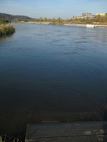 Vltava 6-Modřanský jez 21.10.08 (14).JPG